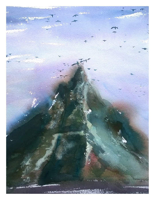 birds flying over mountain