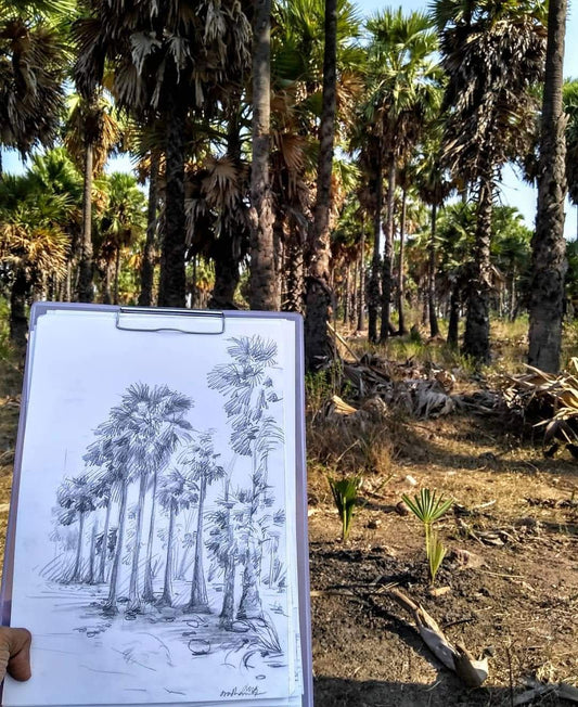 palm trees
